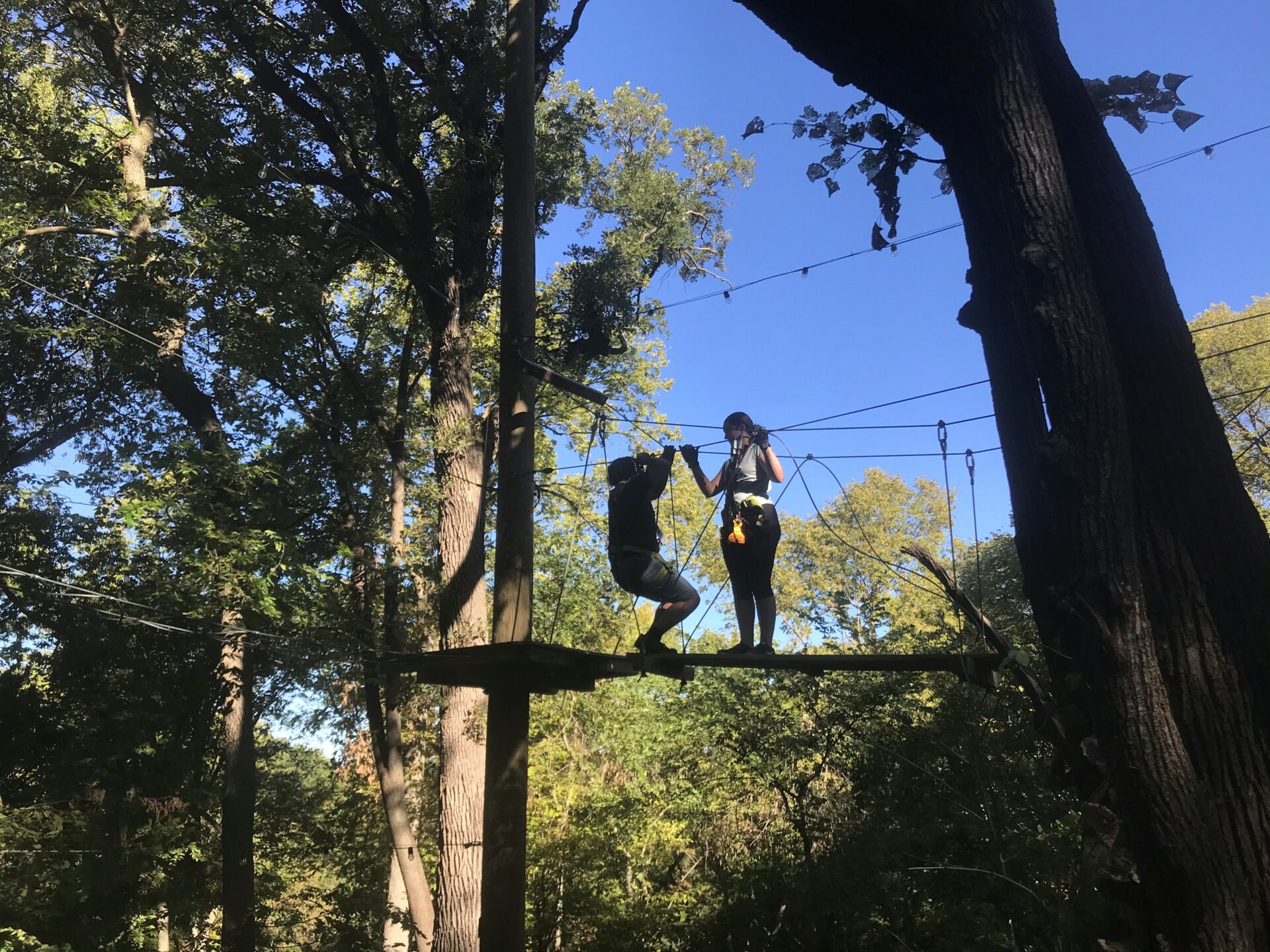 A view of treetops and the sky with a long narrow wooden plank suspended in the air. Two people are wearing harnesses and making their way carefully across the wooden plank.