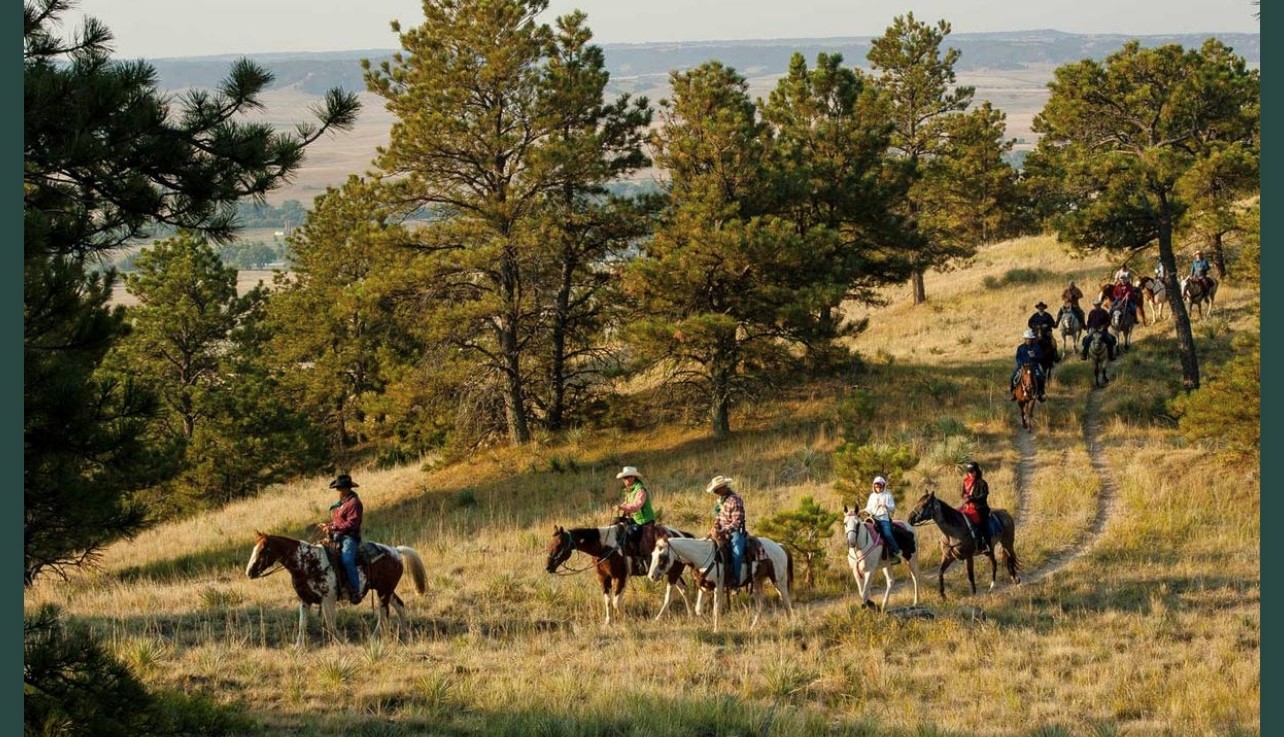 A picture from Platte River State Park. A trail in the park lined with horses and people riding on them. The horses are lined up one behind the next.