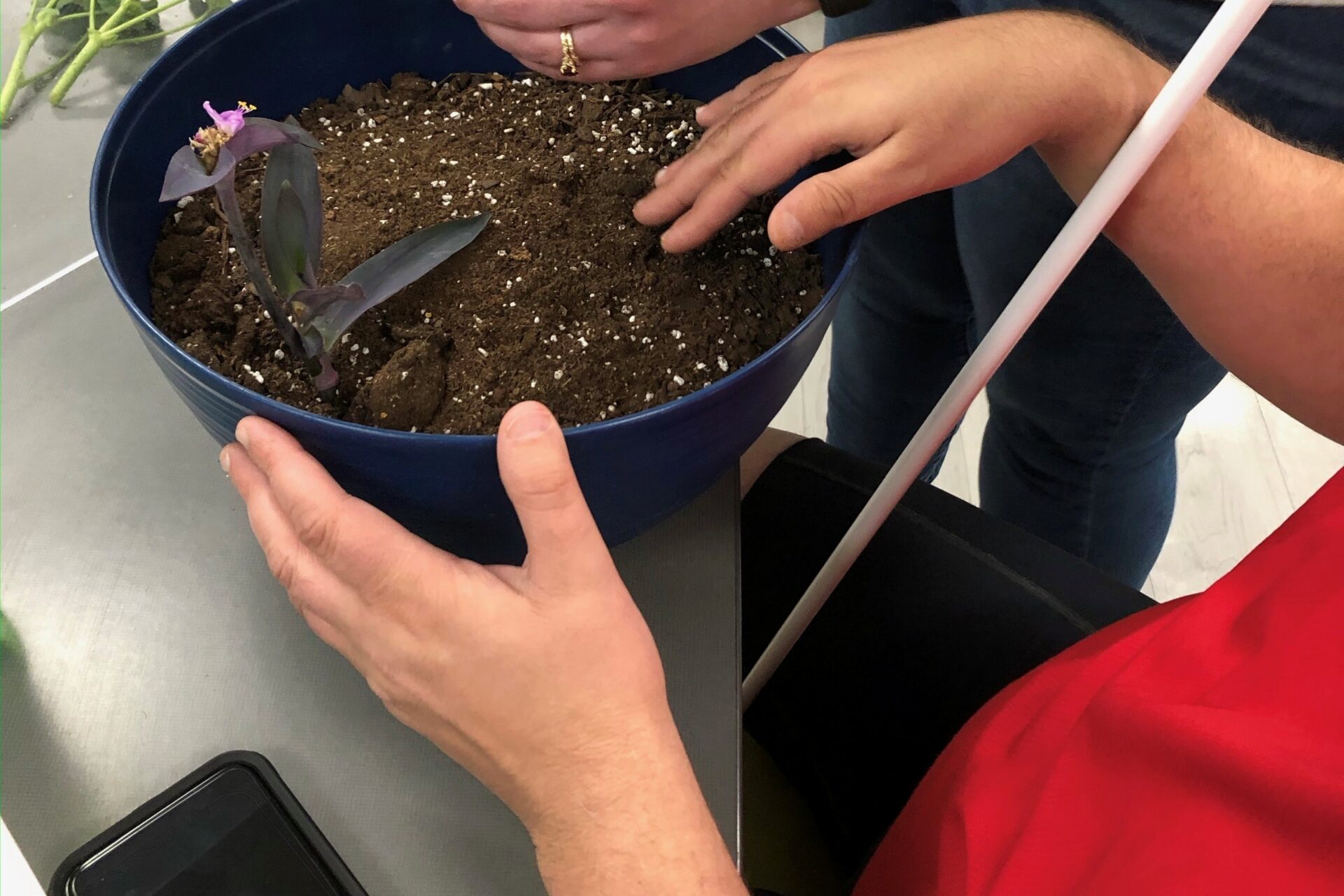 Mickie with huis hands un a pot of dirt